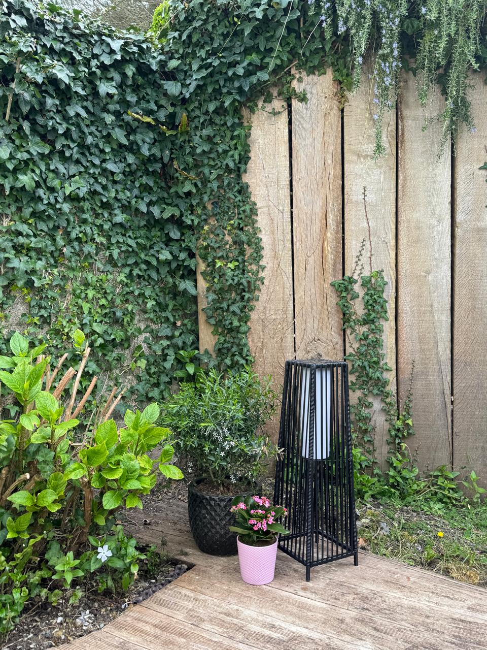 Terrasse avec lierre et décoration florale